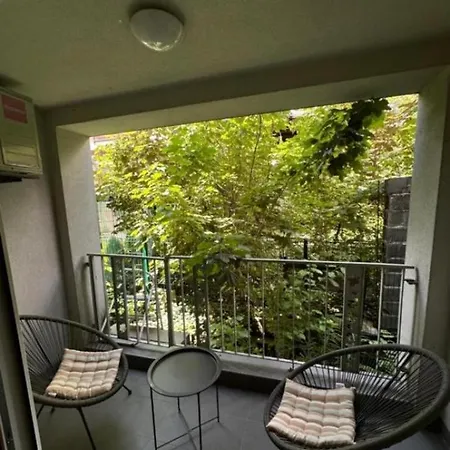 Apartment Saray - Center - Free Parking *